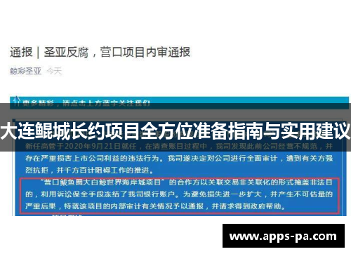 大连鲲城长约项目全方位准备指南与实用建议