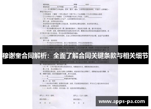 穆谢奎合同解析：全面了解合同关键条款与相关细节