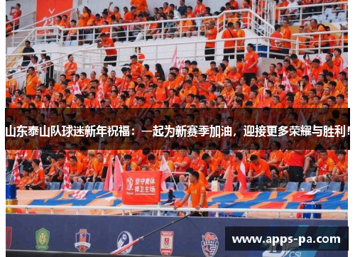 山东泰山队球迷新年祝福：一起为新赛季加油，迎接更多荣耀与胜利！