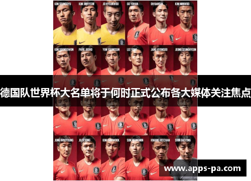 德国队世界杯大名单将于何时正式公布各大媒体关注焦点
