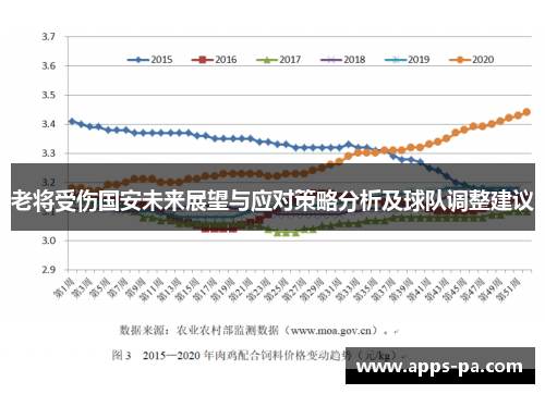 老将受伤国安未来展望与应对策略分析及球队调整建议