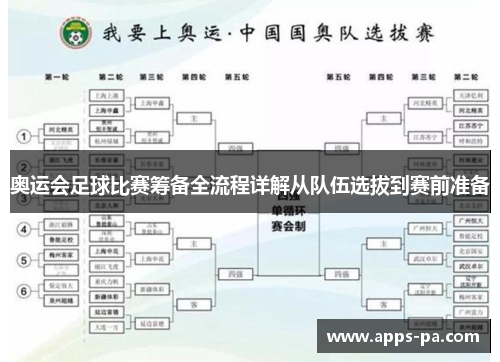 奥运会足球比赛筹备全流程详解从队伍选拔到赛前准备