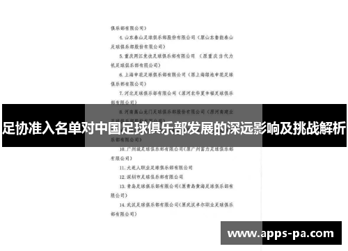 足协准入名单对中国足球俱乐部发展的深远影响及挑战解析