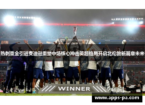 热刺重金引进麦迪逊重塑中场核心冲击英超格局开启北伦敦新篇章未来 热刺重金引进麦迪逊重塑中场核心冲击英超格局开启北伦敦新篇章未来