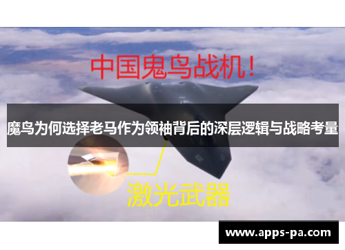 魔鸟为何选择老马作为领袖背后的深层逻辑与战略考量