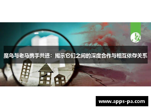 魔鸟与老马携手共进：揭示它们之间的深度合作与相互依存关系