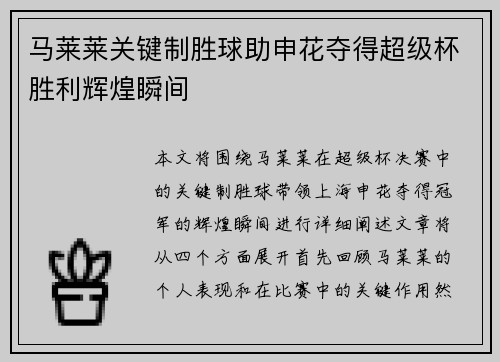 马莱莱关键制胜球助申花夺得超级杯胜利辉煌瞬间