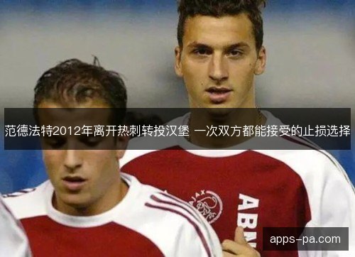 范德法特2012年离开热刺转投汉堡 一次双方都能接受的止损选择